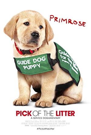 دانلود فیلم Pick of the Litter